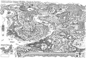 WETLANDS: WATER, WILDLIFE, PLANTS  (B/W)