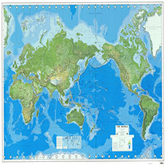 WORLD SERIES 1145