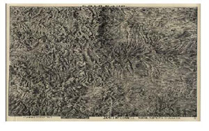COLORADO 1894, CO