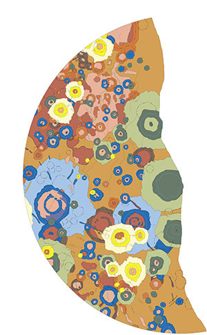 GEOLOGIC MAP BACH REGION OF MERCURY